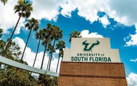 Missing USF Doctoral Student Found Dead As Roommate Is Arrested