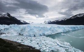 patagonian field