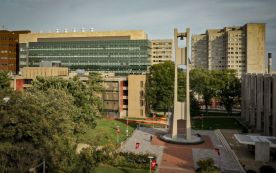 Temple University