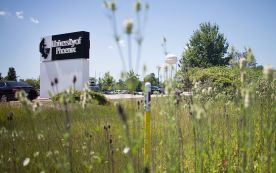 University Of Phoenix Under Investigation Surrounding Federal Aid For Veterans