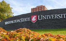 Washington State University