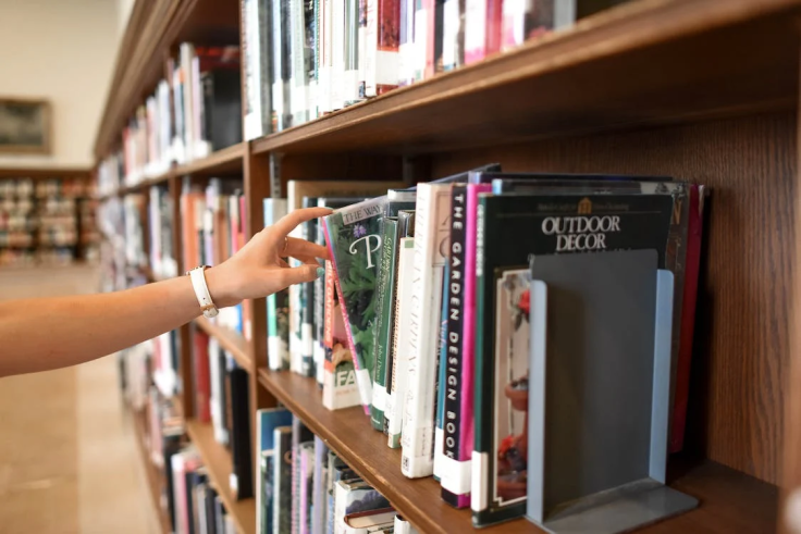 How Humanities Plays a Crucial Role in Teaching Higher Education to Future Generations