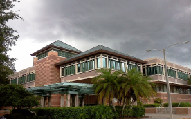 University of South Florida 